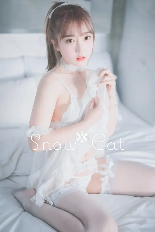Snow Cat - DJAWA